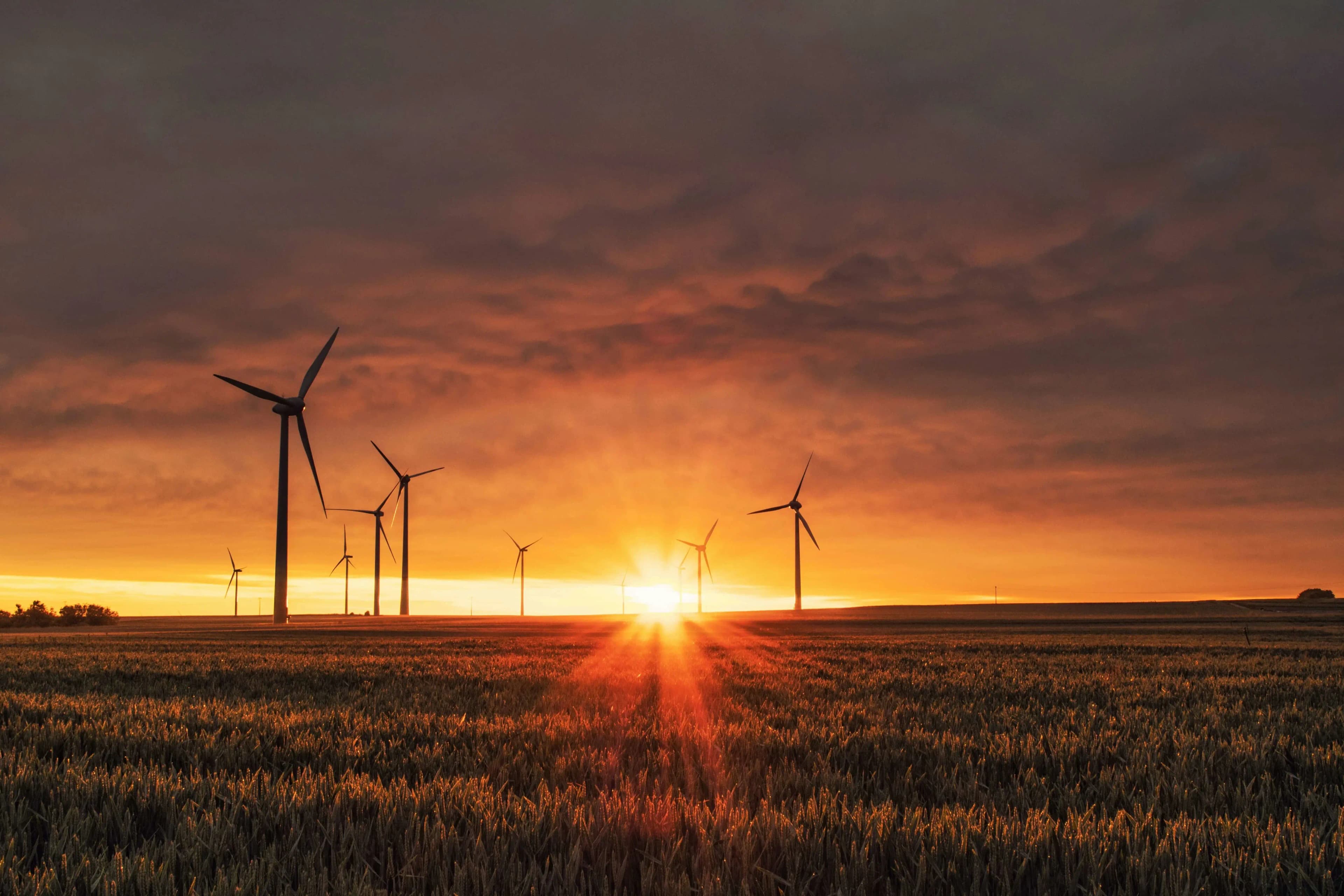 Electricity transmission lines crossing green fields with wind turbines in the background