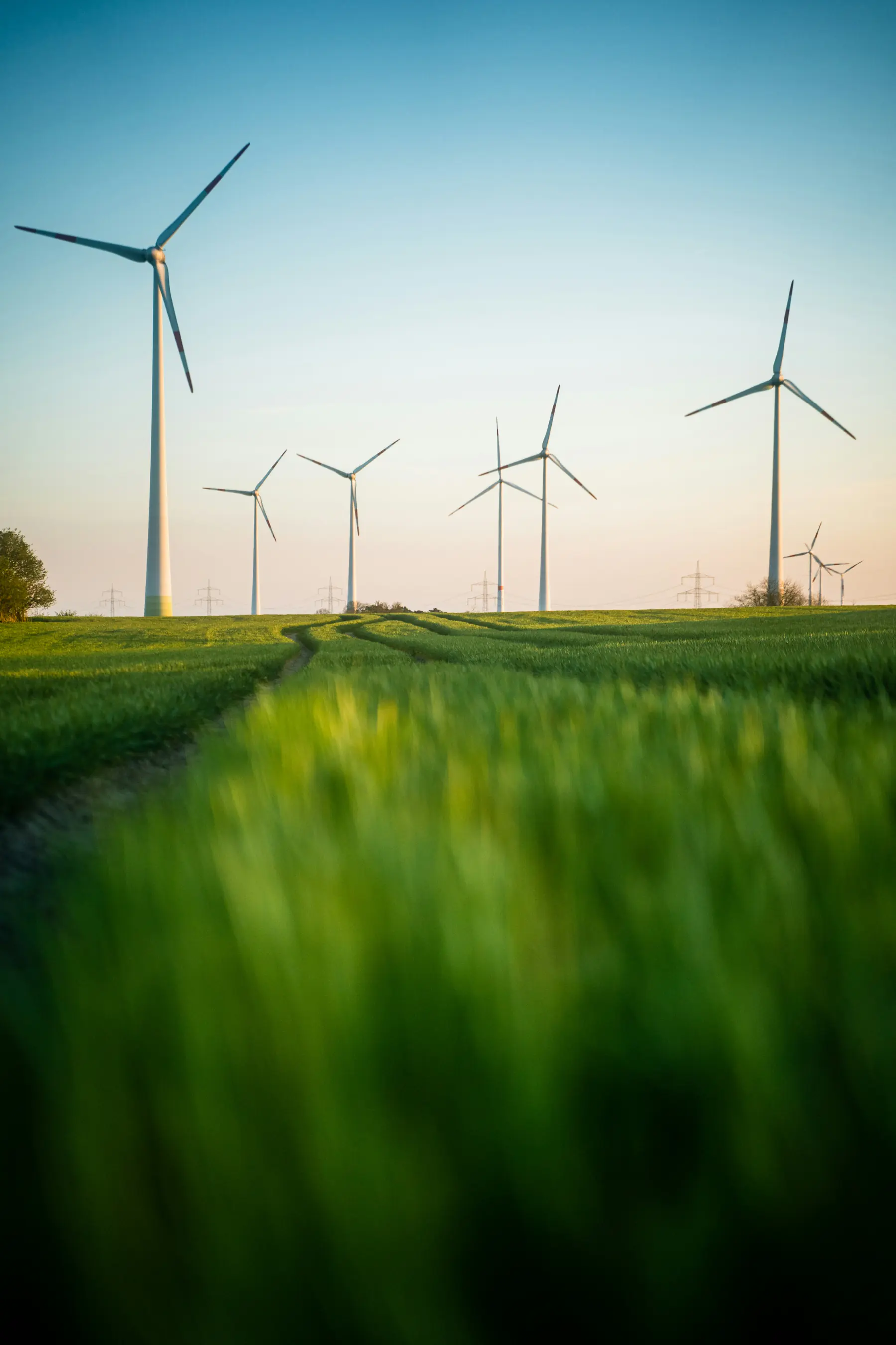 Wind turbines in a green field at sunset, for energy software development