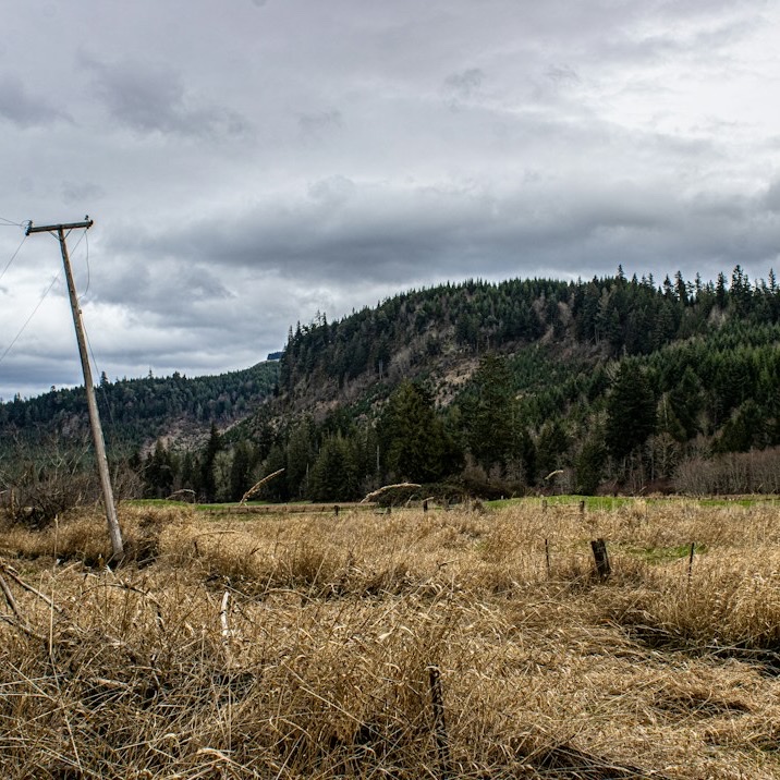 A leaning utility pole in a dry field below forested hills